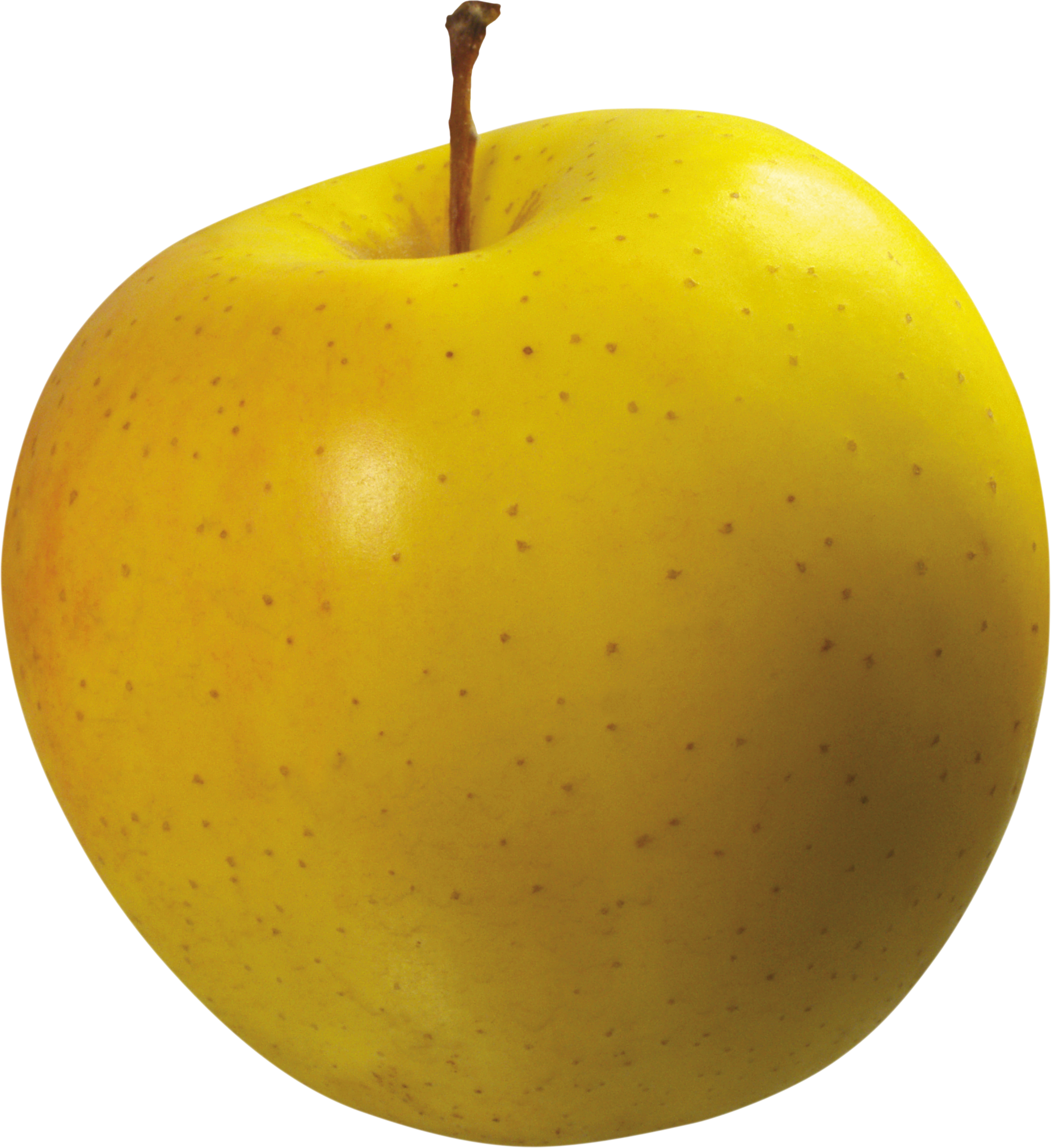 Pomme - Toute l'année