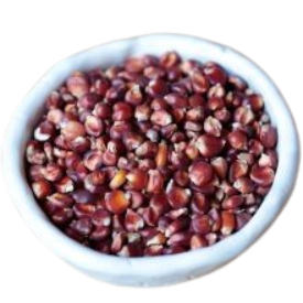 Pignoletto del Canavese - Maïs polenta Bio