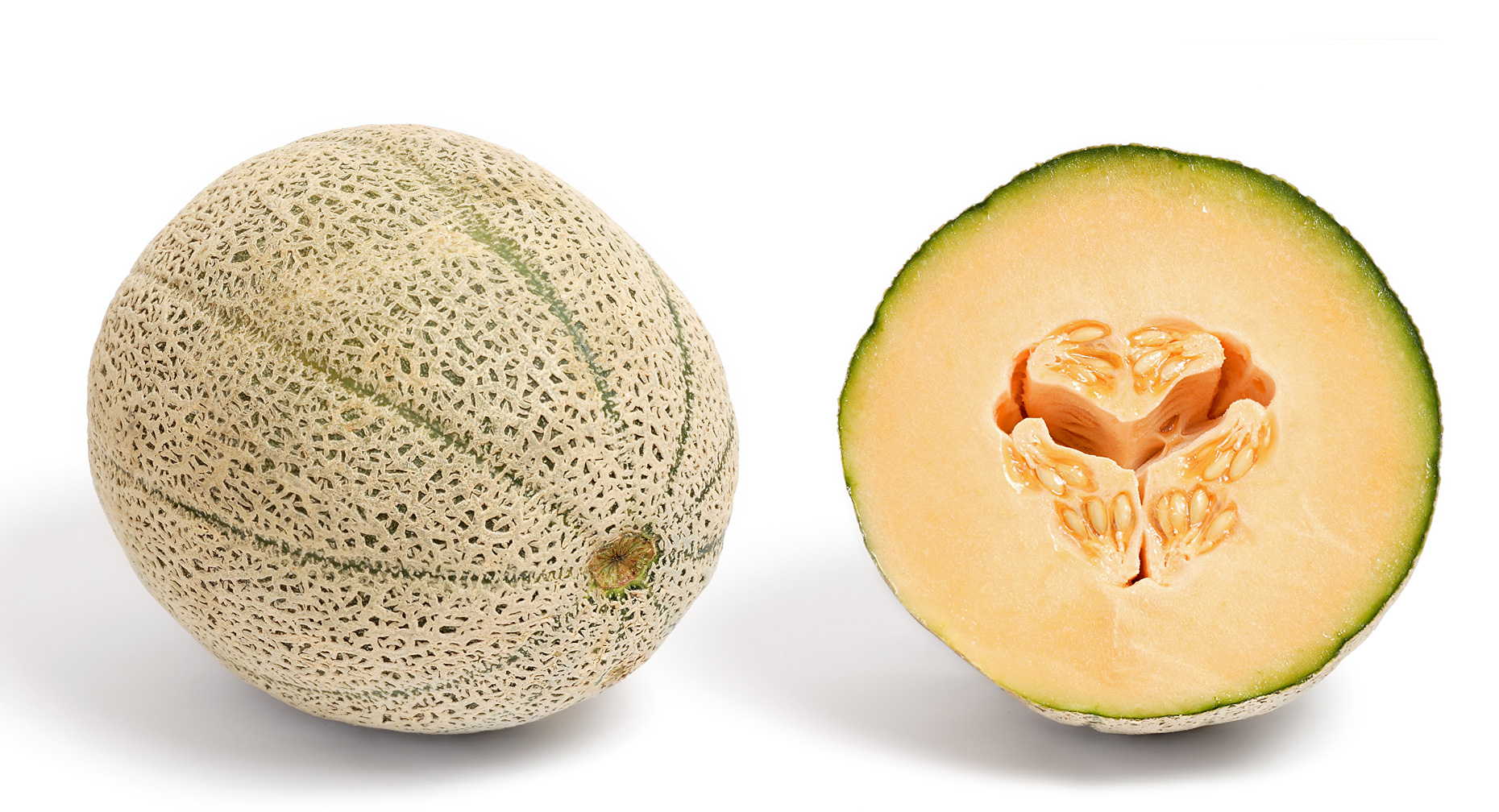 Melon - Juillet à septembre