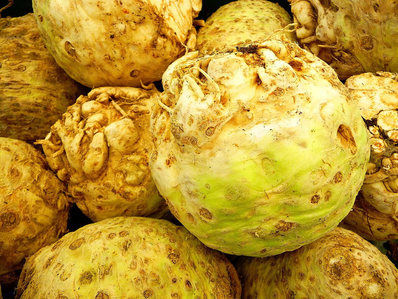 Céleri-rave - Toute l'année