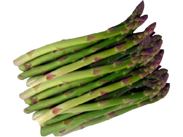 Asperge - Avril à juin