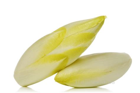 Endive - Novembre à avril