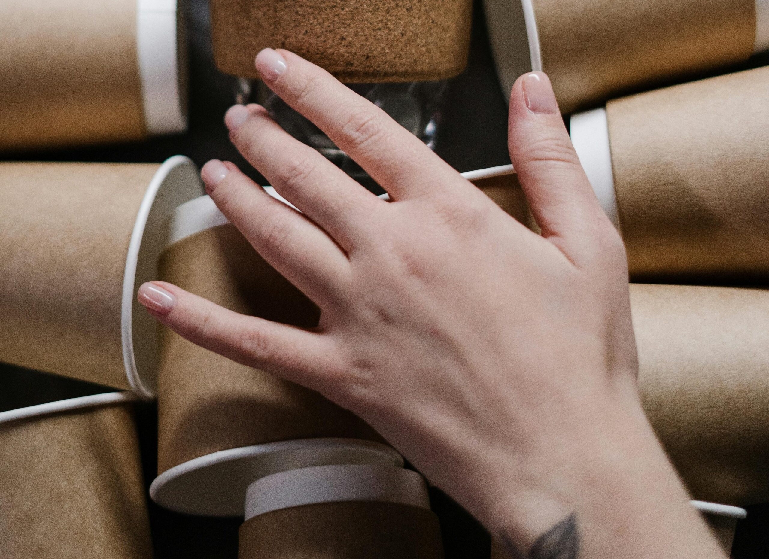 Laveur de tasse & Rince-verre