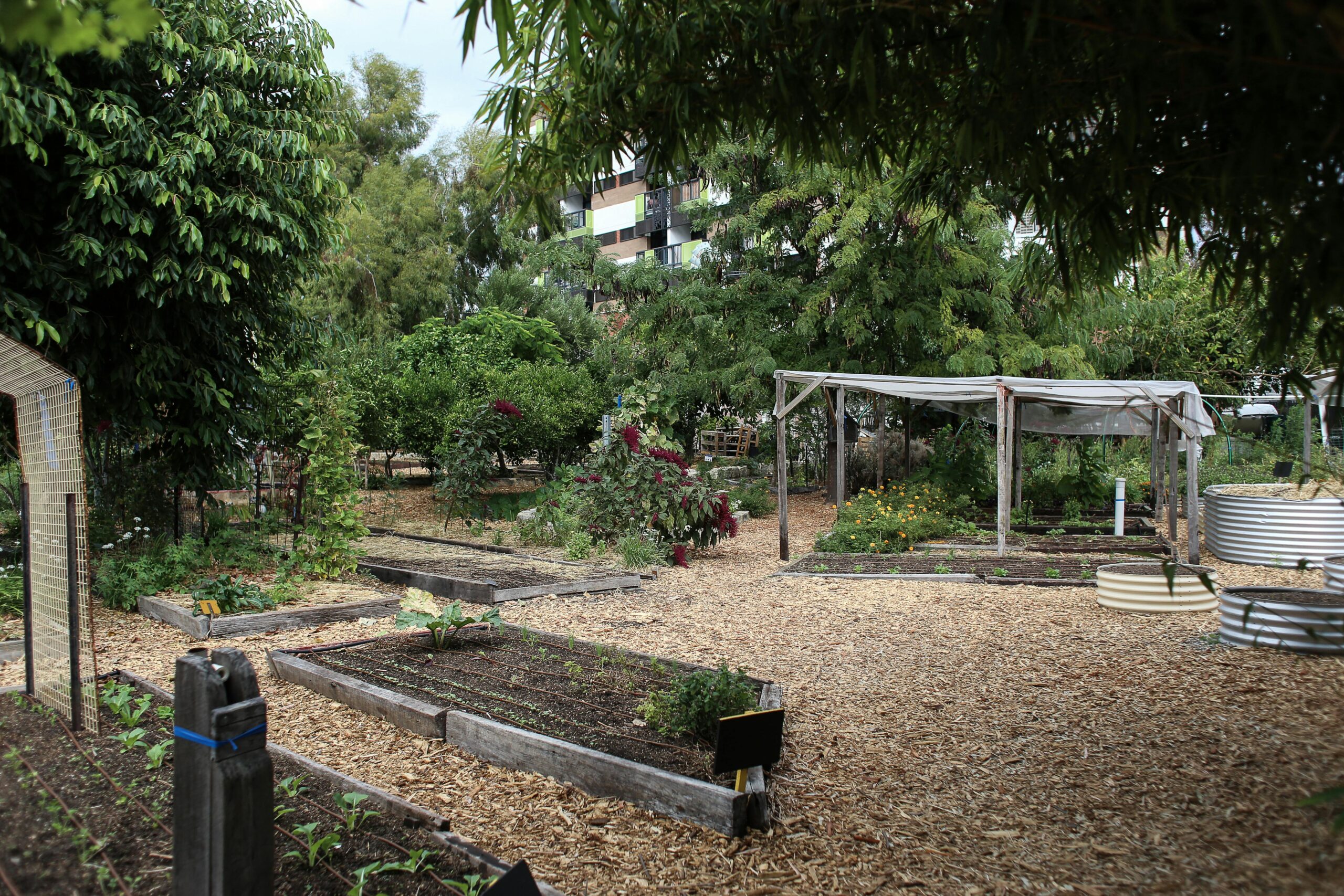 Transformer des espaces publics en mini jardins potagers
