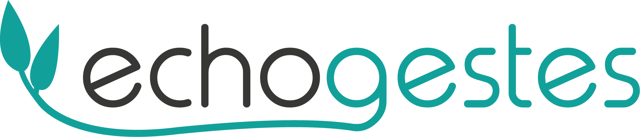 Logo Echogestes