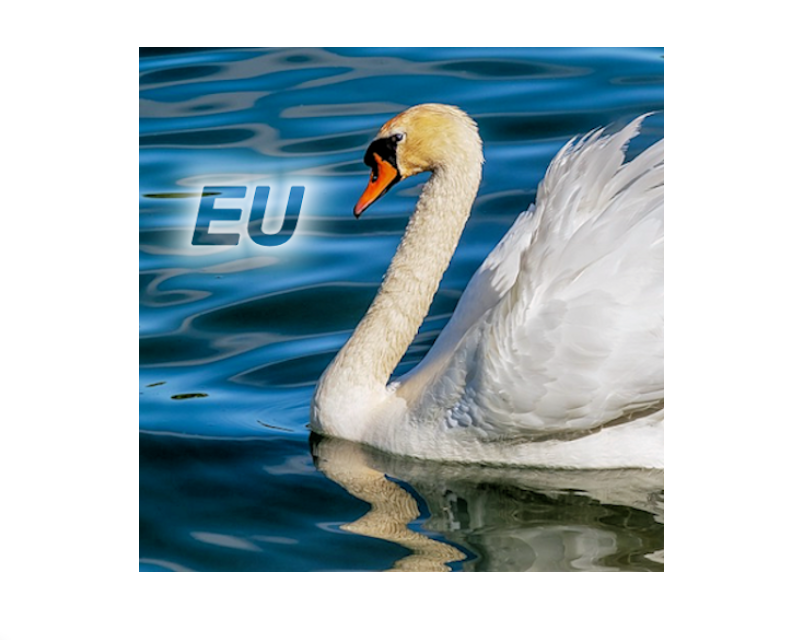 Logo Nature - Europe Logo Nature - Europe