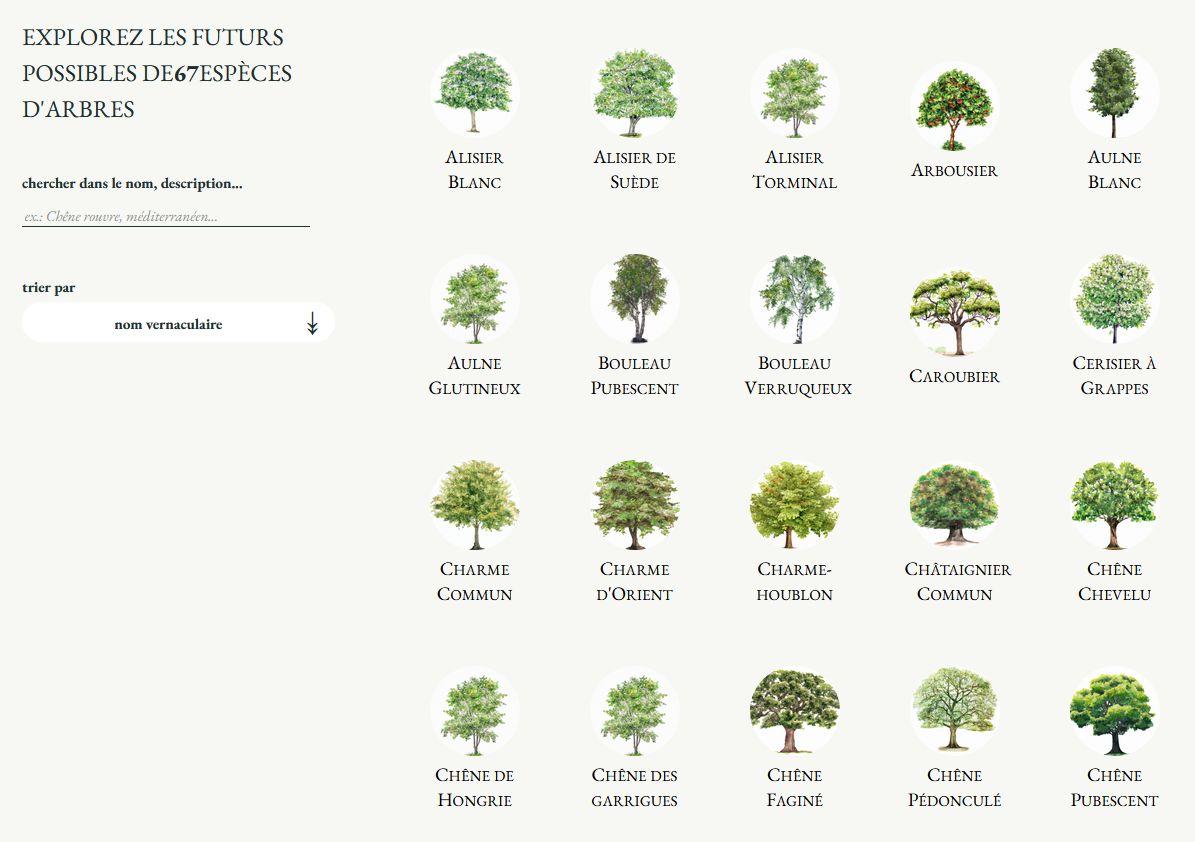 Nos Forêts demain - Our forest tomorrow
