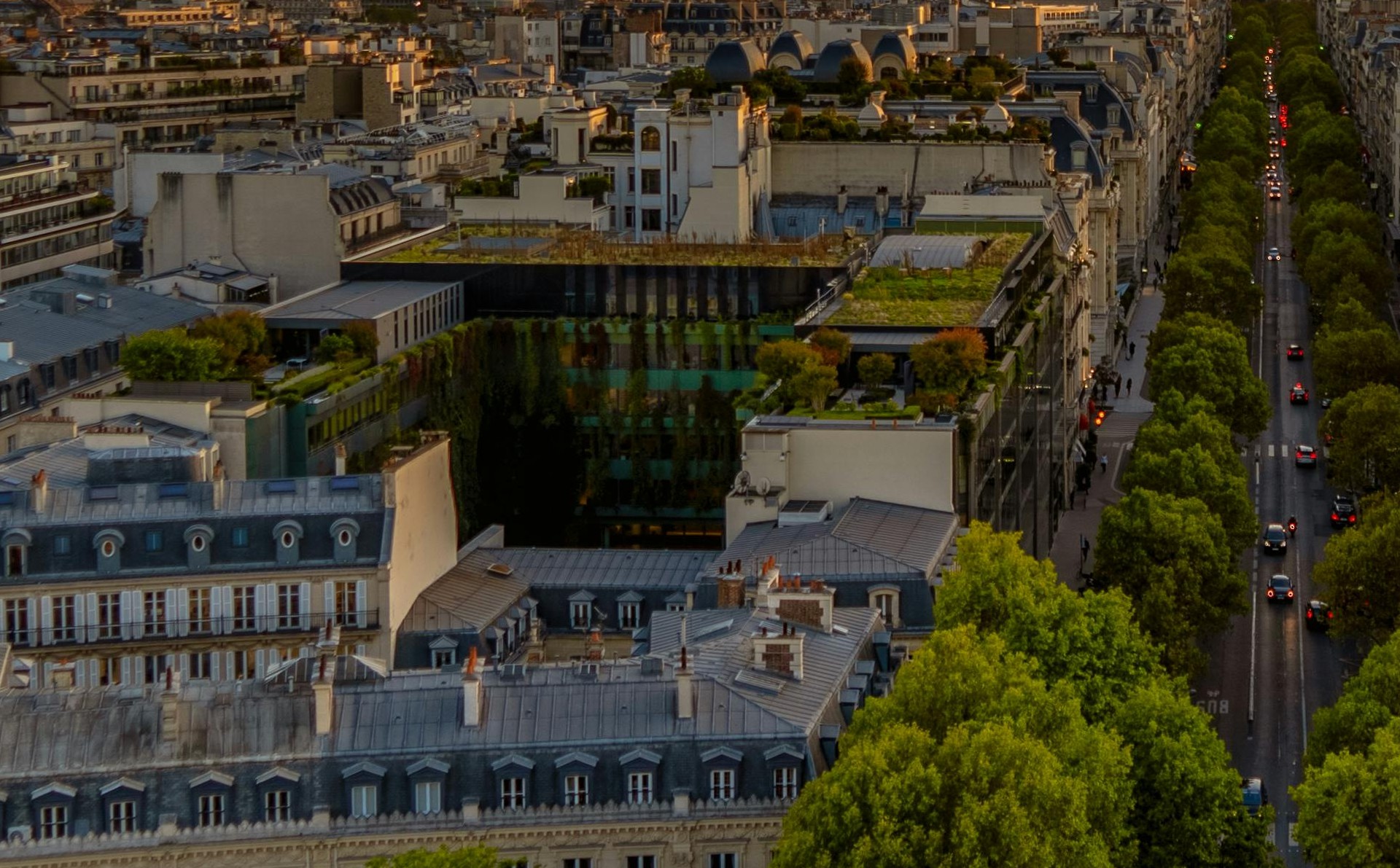 Les toits végétalisés
