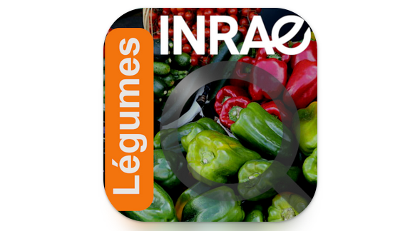 Logo Légumes - INRAE