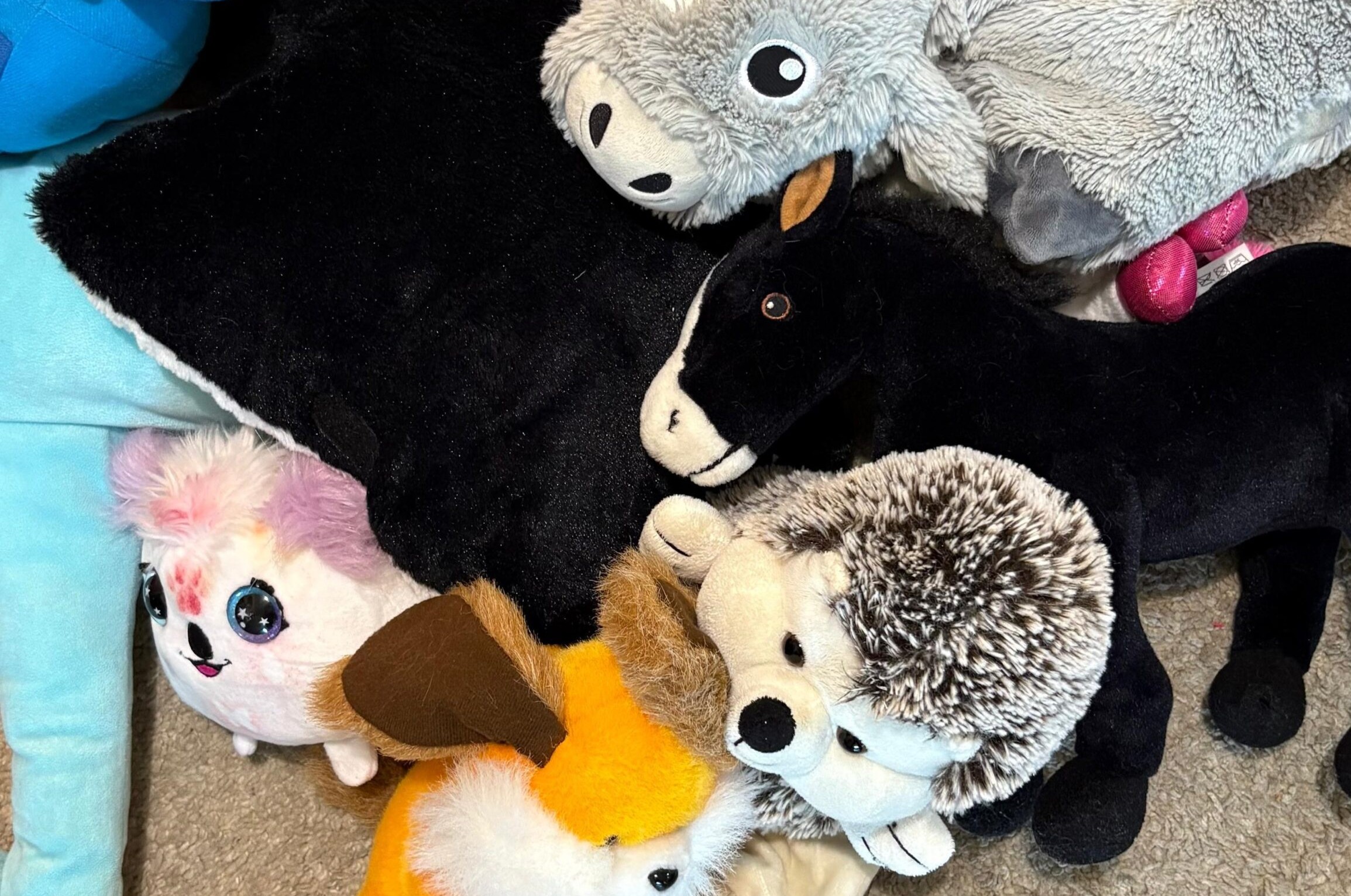 Agence d'adoption de peluche écoresponsable