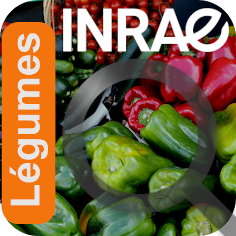 Logo Légumes