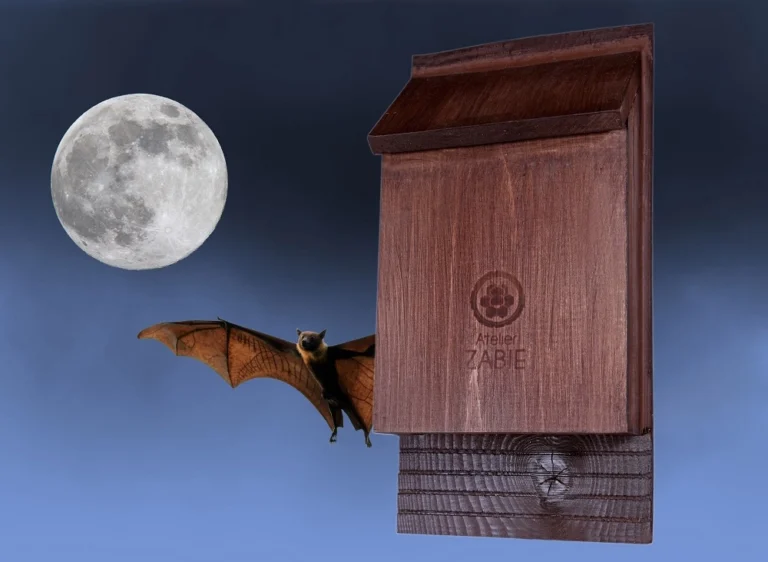 Abris à chauves-souris