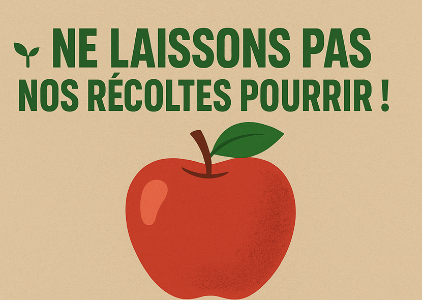 Le glanage - Droit de glanage - Récupérer les fruits et légumes abandonnés Le glanage - Droit de glanage - Récupérer les fruits et légumes abandonnés