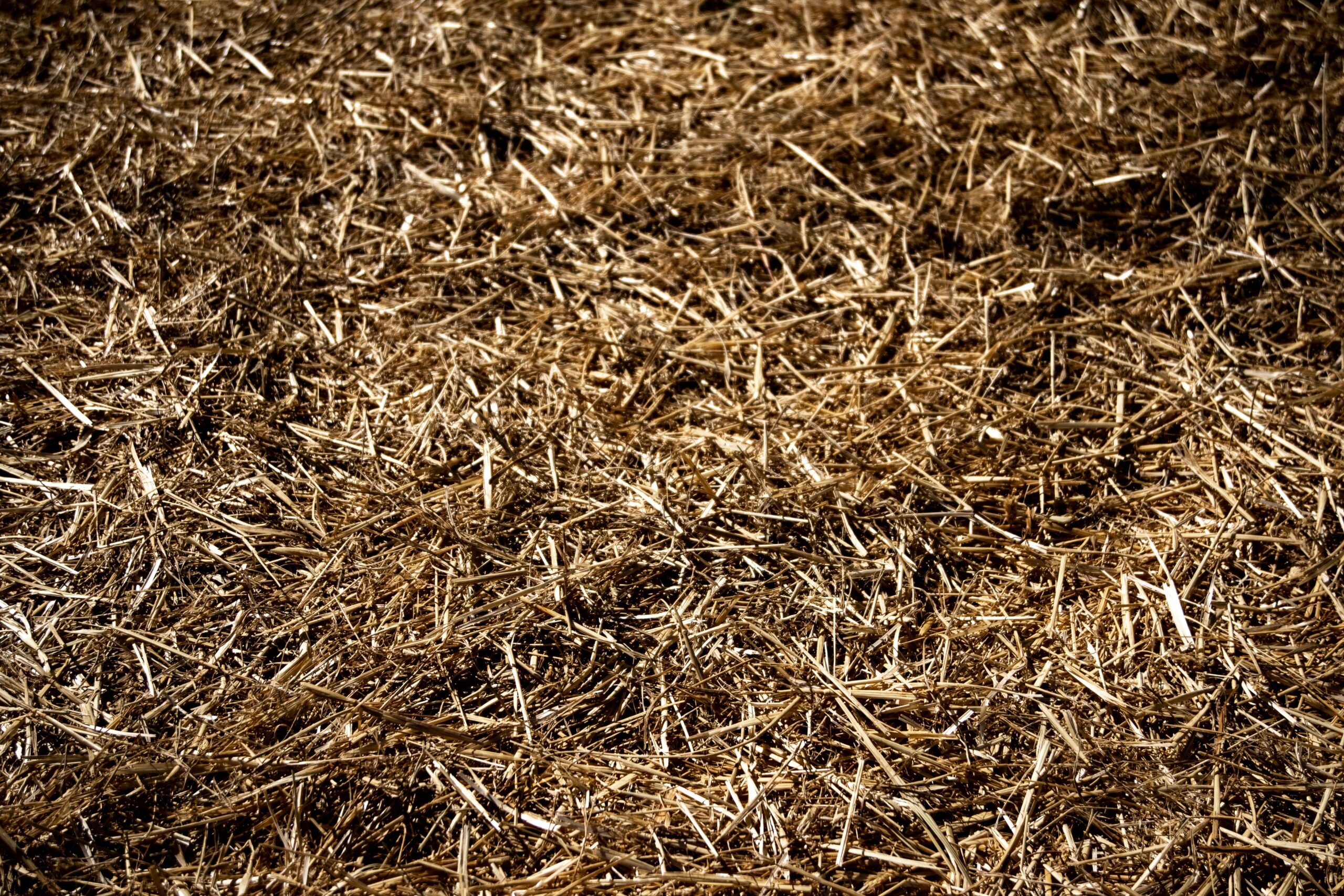 Le désherbage couvrant - Contre les herbicides