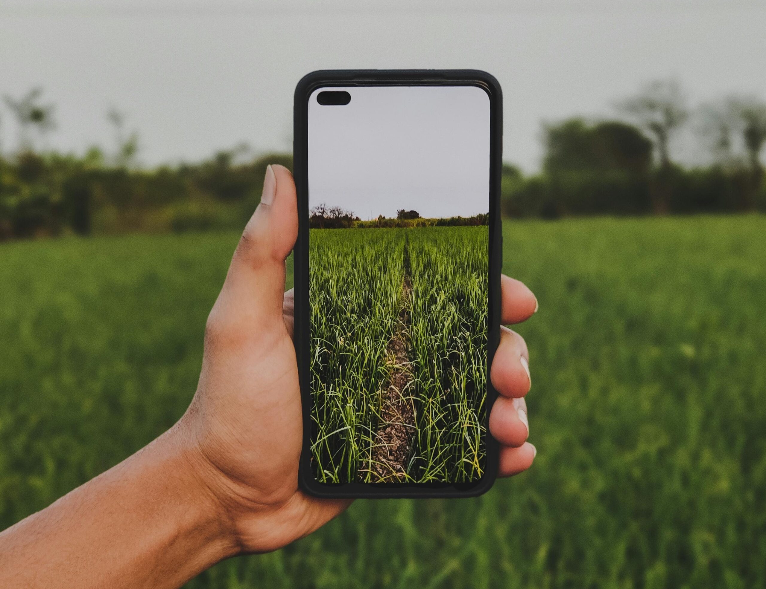 🌱 Rubrique Applications - Agronomie & Alimentation - Et si votre smartphone devenait aussi un outil pour mieux cultiver, mieux choisir et mieux consommer ?