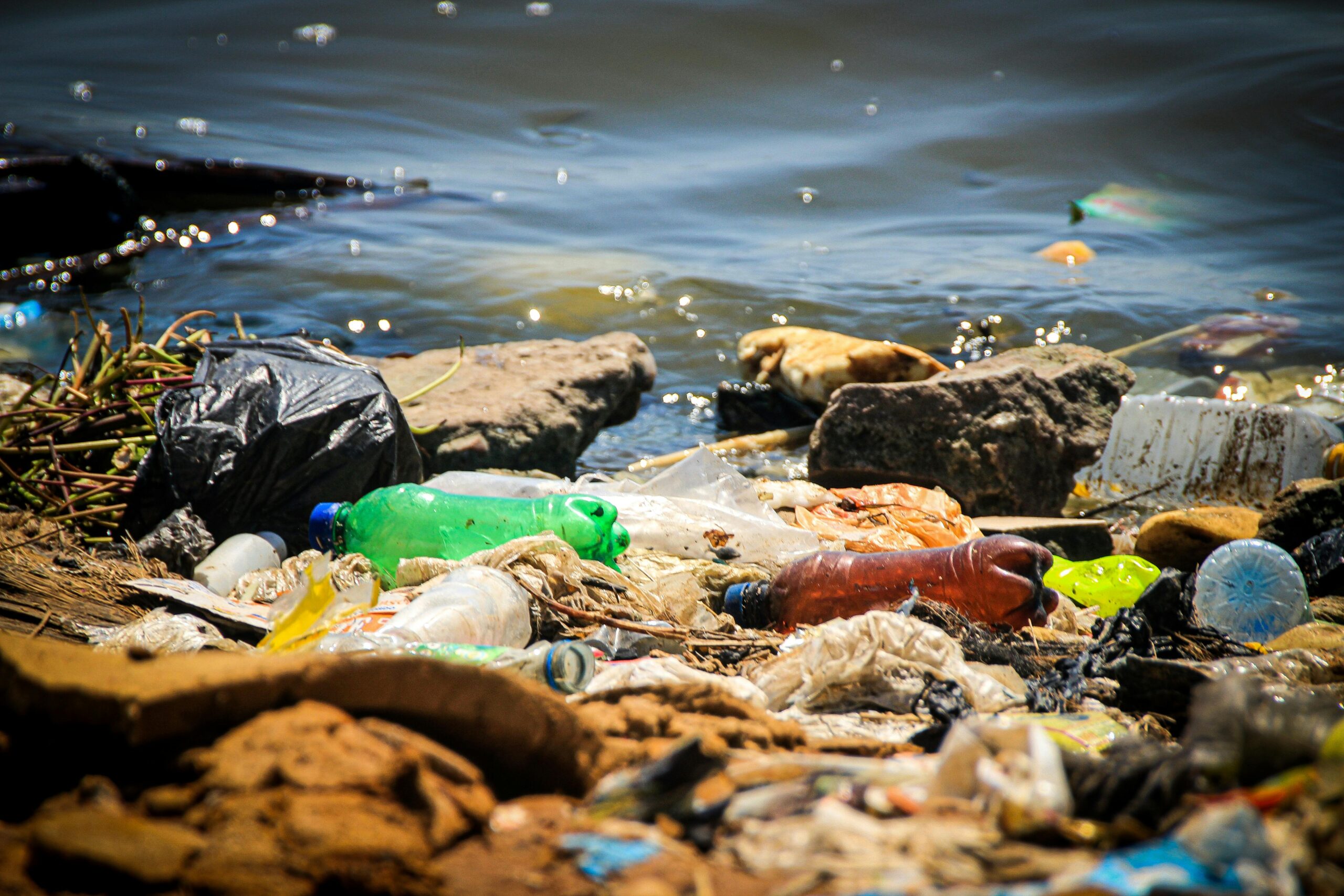 Différence entre compostable et biodégradable